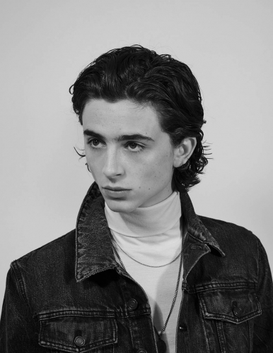 Timothée Chalamet covers VMan Spring / Summer 2018 by Collier Schorr