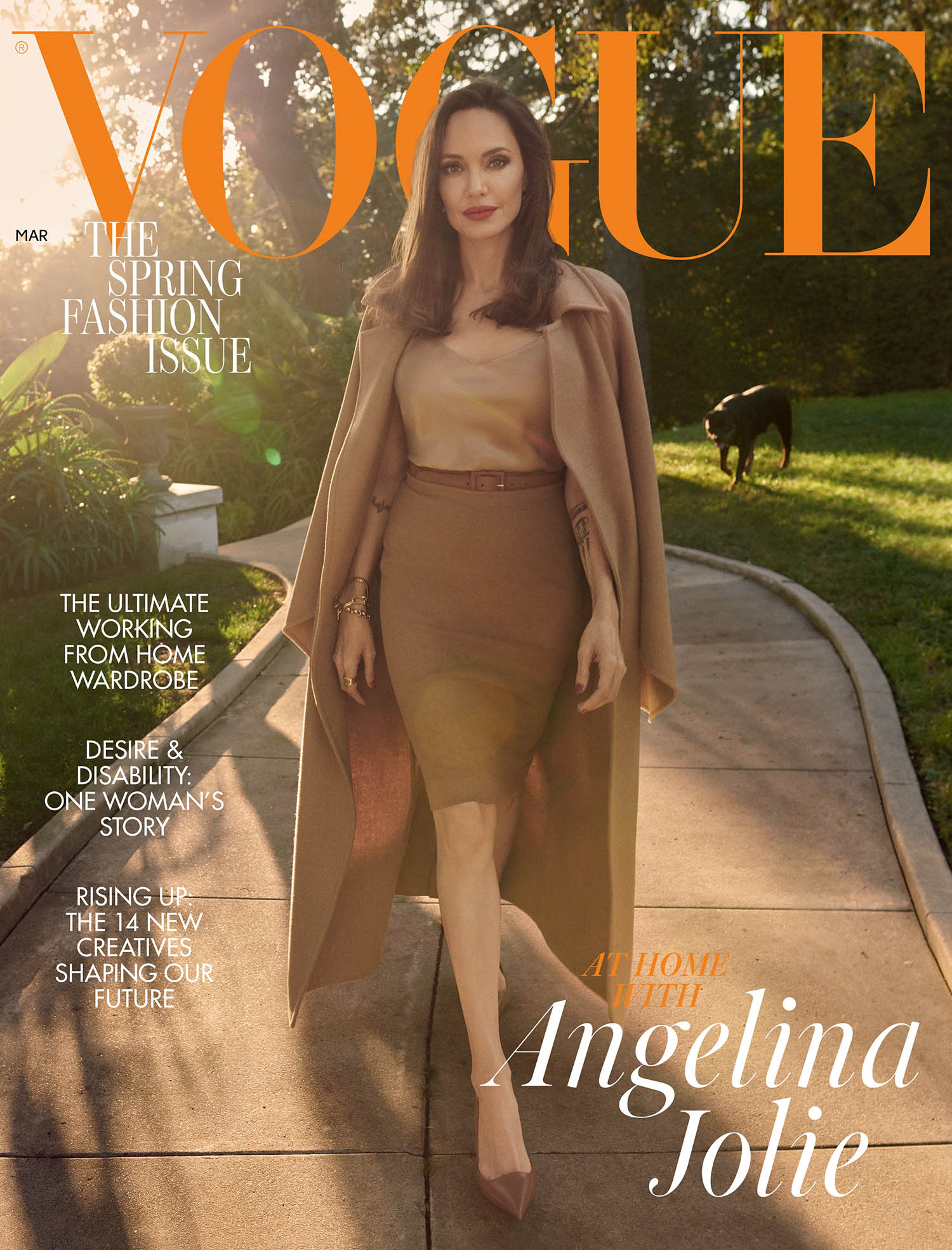 Angelina Jolie covers British Vogue March 2021 by Craig McDean -  fashionotography