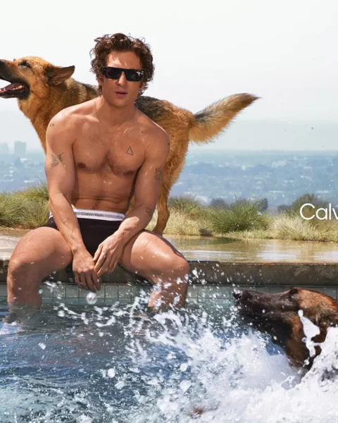 Jeremy Allen White smolders in Calvin Klein's Fall 2024 campaign