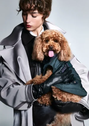 Haute Couture goes to the dogs as Giorgio Armani teams up with Poldo Dog Couture