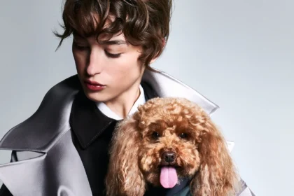 Haute Couture goes to the dogs as Giorgio Armani teams up with Poldo Dog Couture