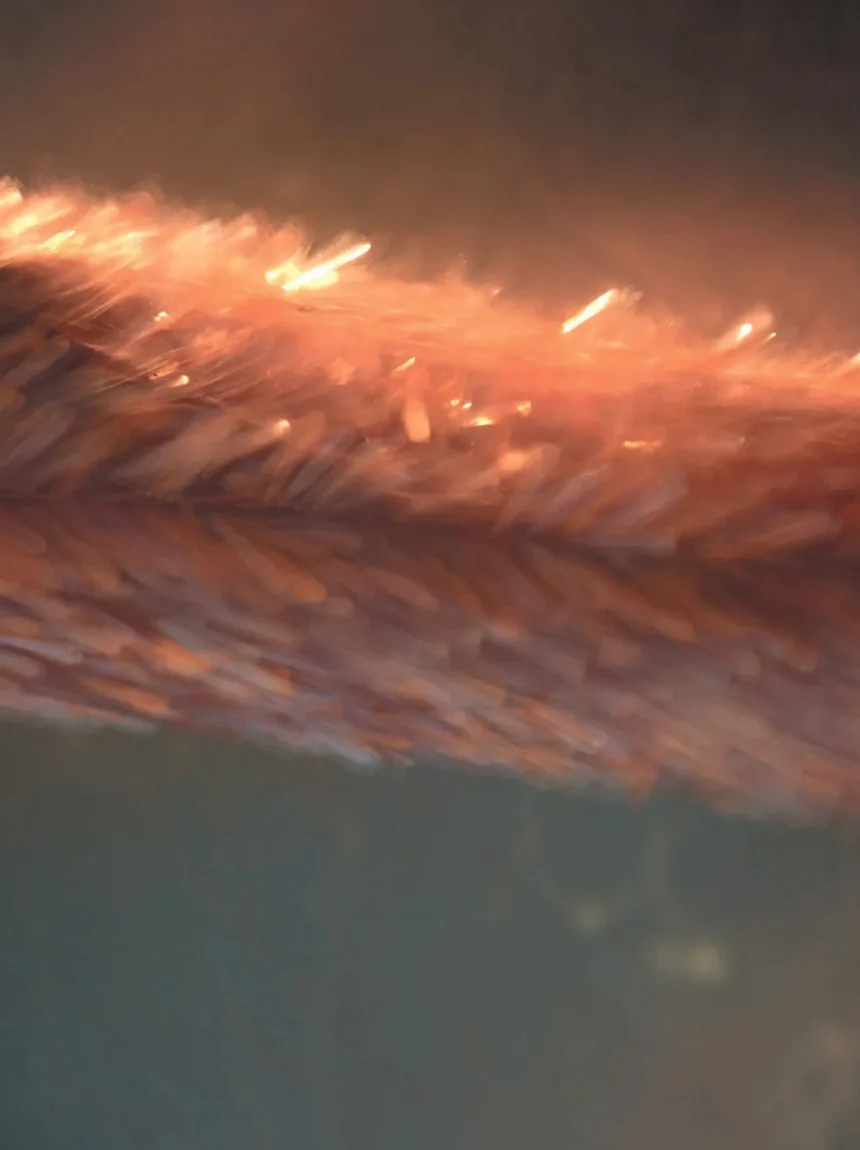 Demy de Vries by Cedric Bihr for Madame Figaro February 28th, 2025