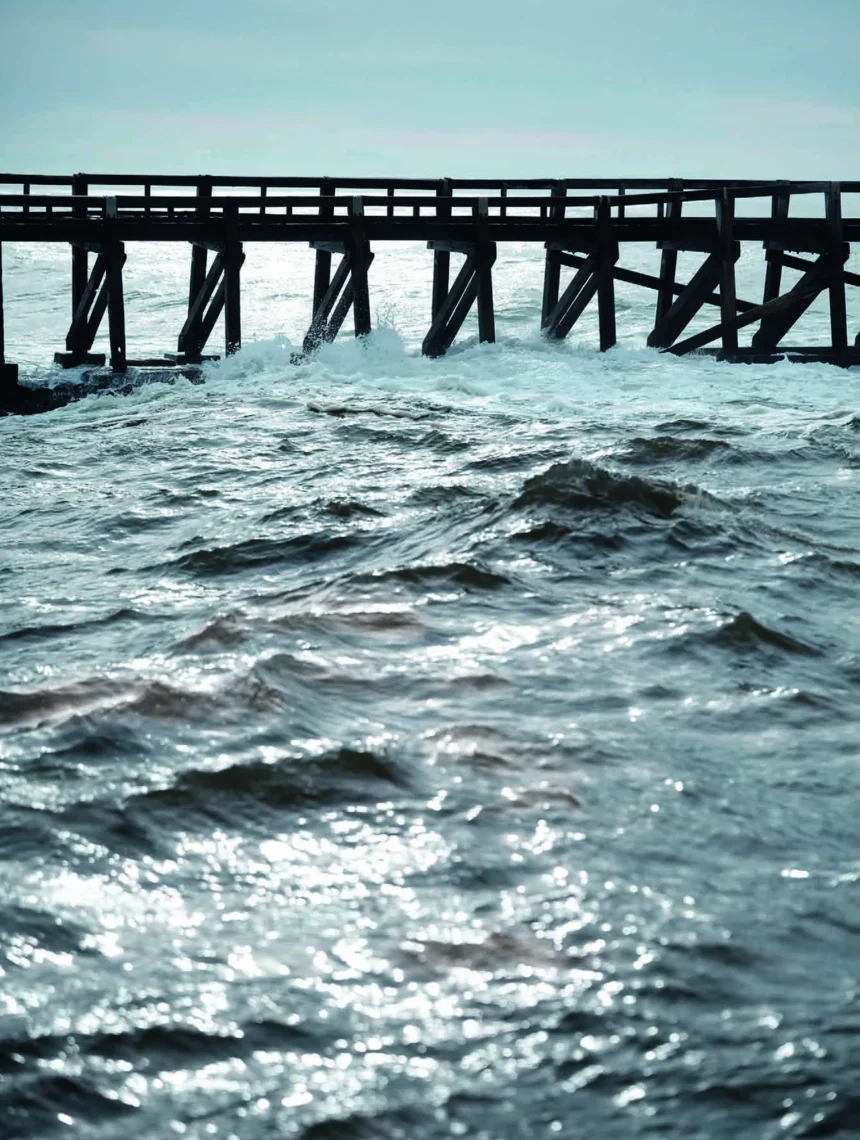 Tessa Bruinsma by Cedric Bihr for Madame Figaro February 28th, 2025