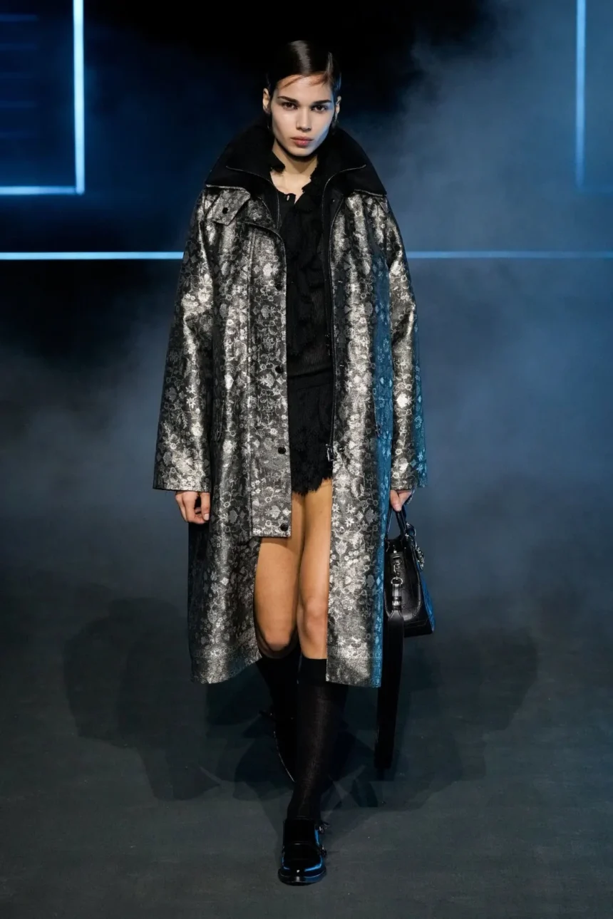 Dior Fall/Winter 2025 - Paris Fashion Week