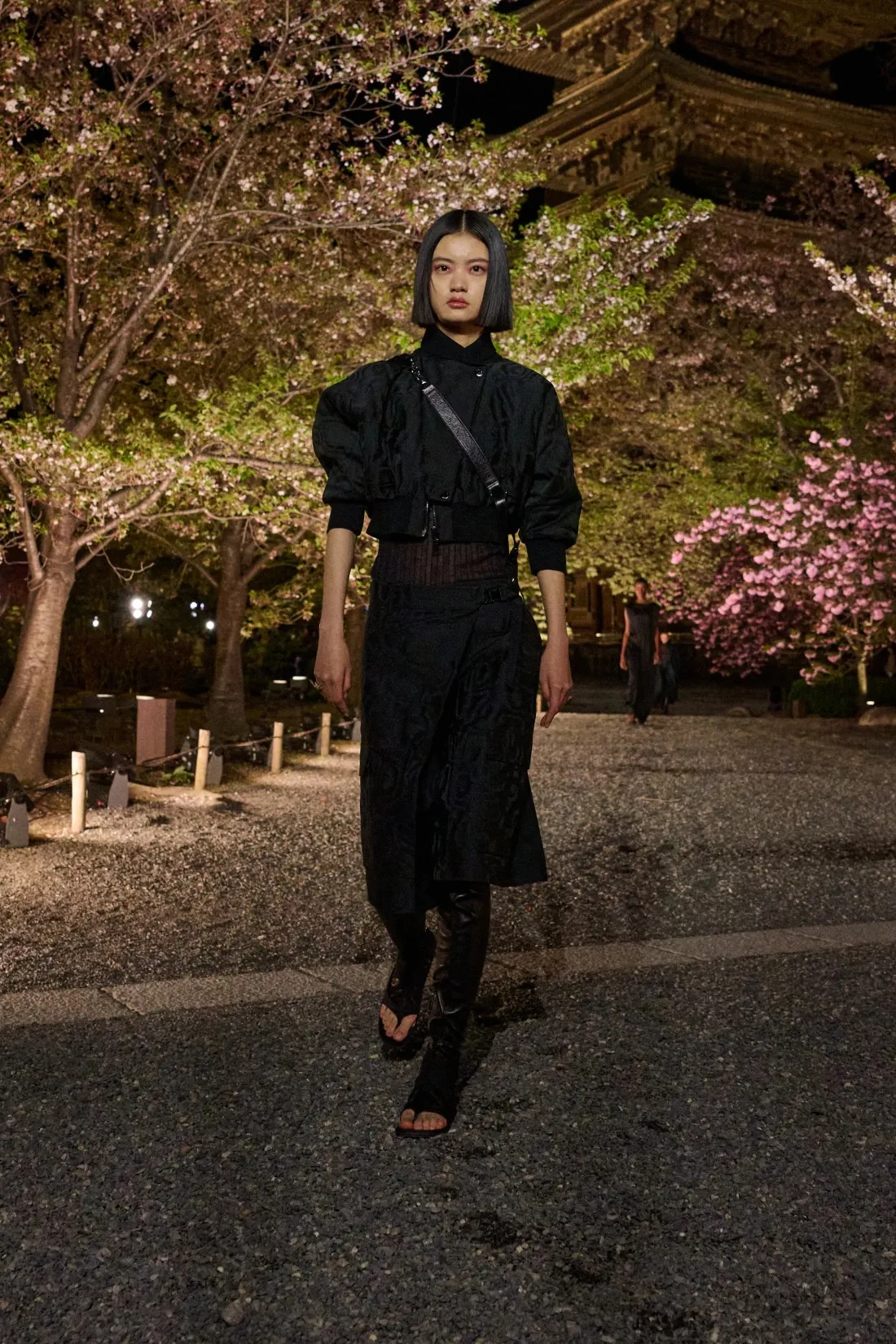 Dior Pre-Fall 2025