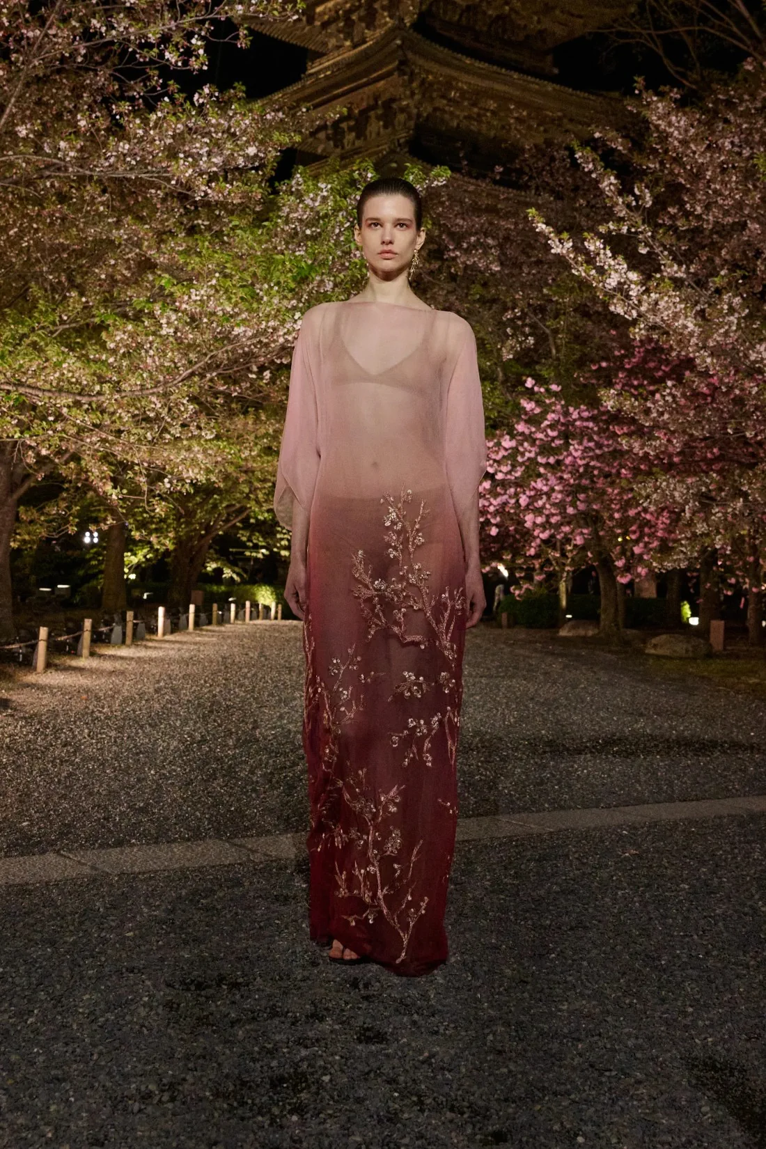Dior Pre-Fall 2025 Dior Pre-Fall 2025