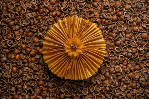 La Réserve Paris unveils the 2026 King Cake, "Fleur de Noisette," for the Epiphany celebration