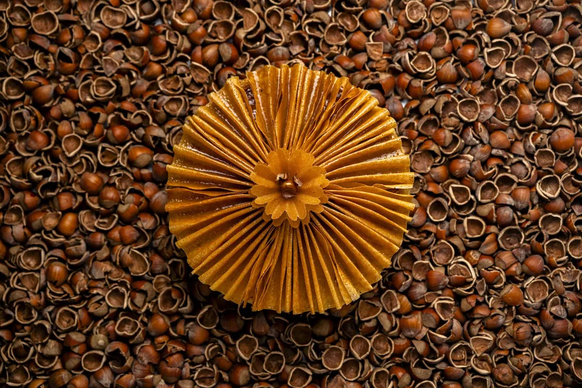 La Réserve Paris unveils the 2026 King Cake, "Fleur de Noisette," for the Epiphany celebration