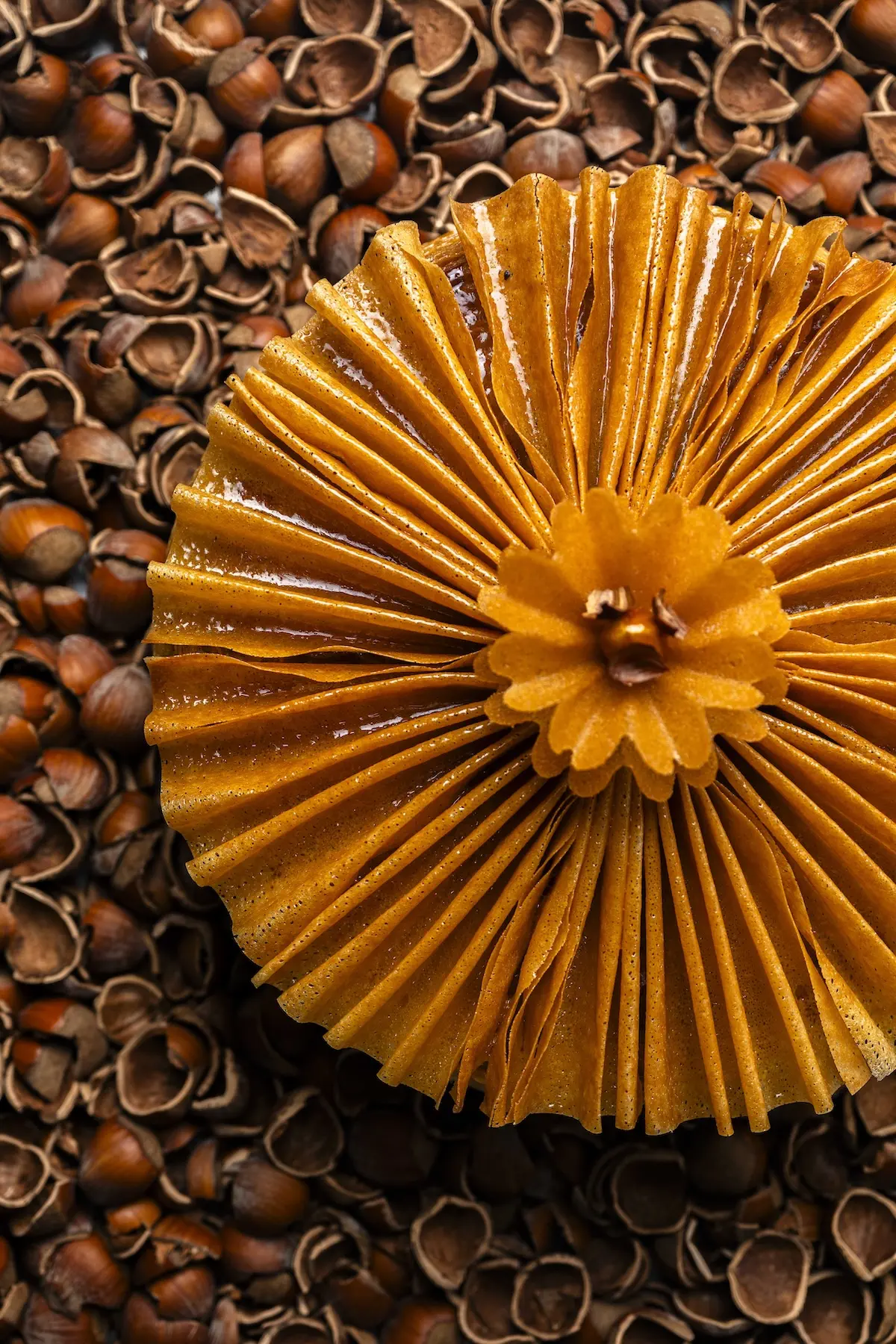 La Réserve Paris unveils the 2026 King Cake, "Fleur de Noisette," for the Epiphany celebration