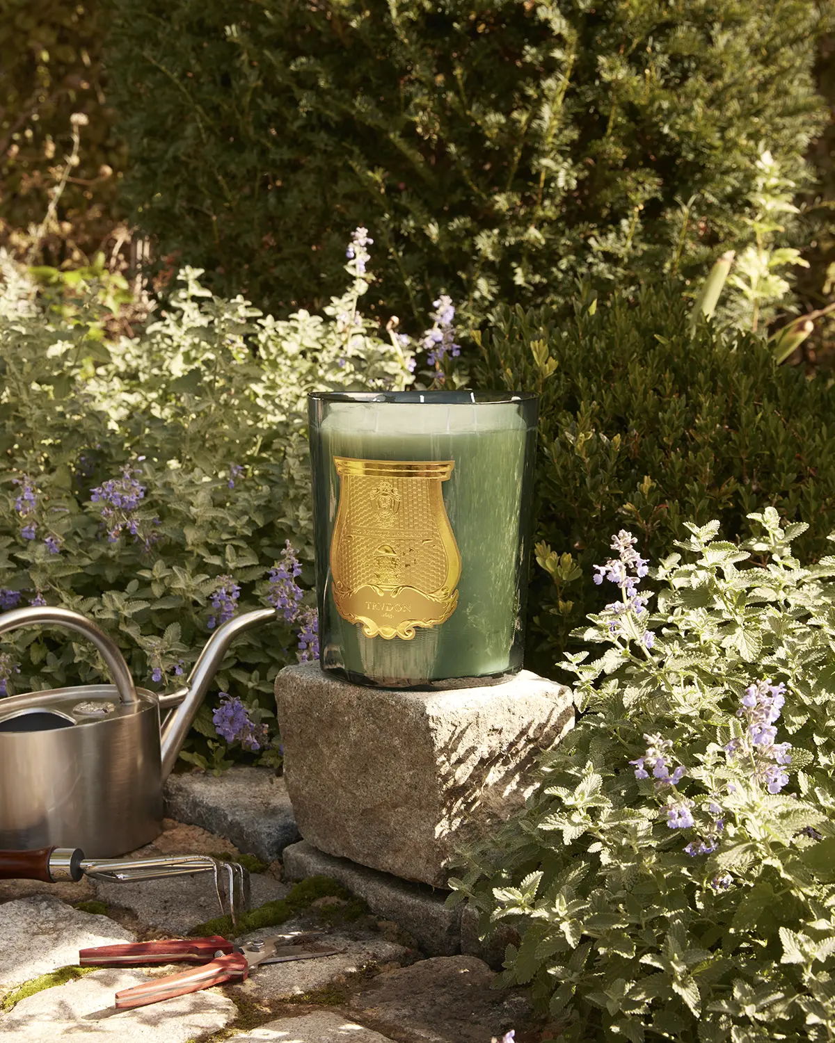 The Sun King’s fig trees bloom again in Trudon’s Spring 2026 collection The Sun King’s fig trees bloom again in Trudon’s Spring 2026 collection