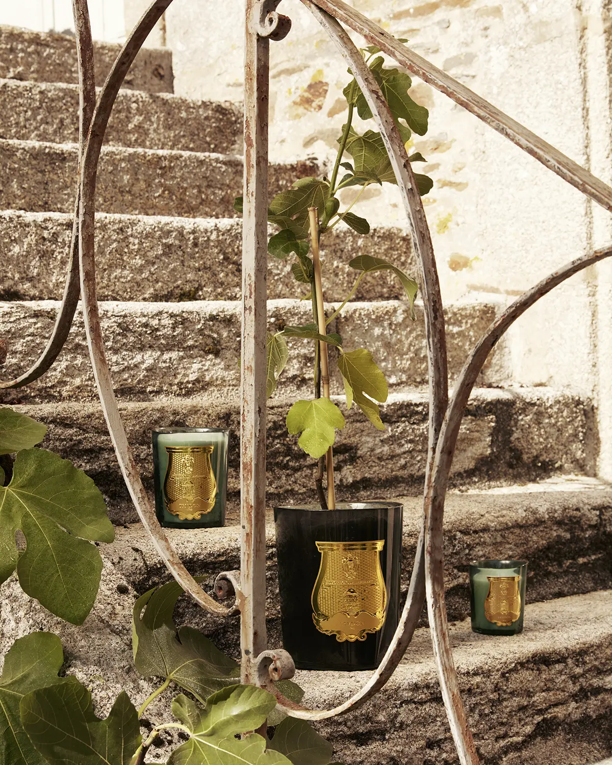 The Sun King’s fig trees bloom again in Trudon’s Spring 2026 collection The Sun King’s fig trees bloom again in Trudon’s Spring 2026 collection